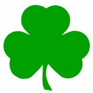 Meet your Posher, Lynn